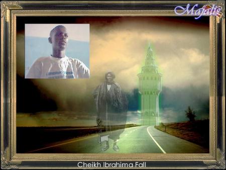 cheikh  ibrahima  fall