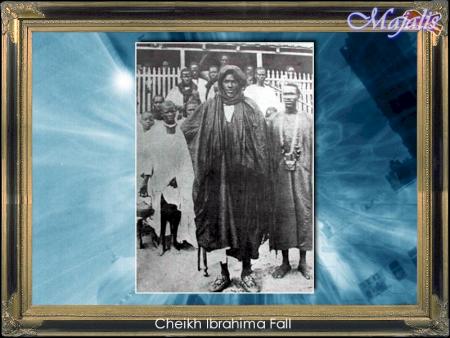 cheikh ibrahima fall
